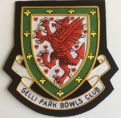 Sports Club Badge 12